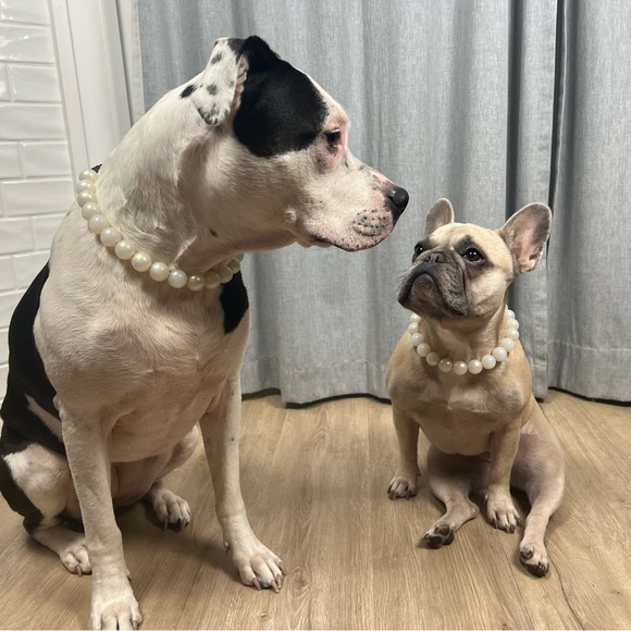 Handcrafted Beaded Dog Collar - The Pearl - Rainbow Pearl White Acrylic Beads - Picture 6 of 13